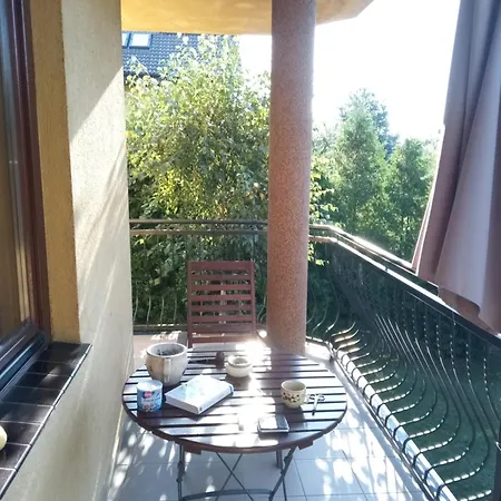 Garden *